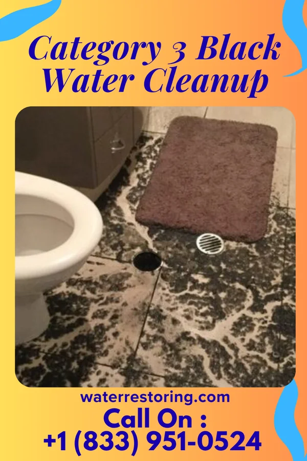 Category 3 Black Water Cleanup in Coyne Center, IL