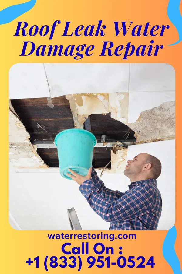 Roof Leak Water Damage Repair in Coyne Center, IL
